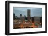 Downtown St. Louis at night from rooftop-Gayle Harper-Framed Photographic Print