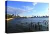 Downtown View with the Freedom Tower from the Hudson River Greenway-Stefano Amantini-Stretched Canvas