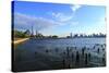 Downtown View with the Freedom Tower from the Hudson River Greenway-Stefano Amantini-Stretched Canvas