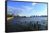 Downtown View with the Freedom Tower from the Hudson River Greenway-Stefano Amantini-Framed Stretched Canvas