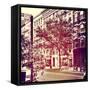 Downtown-Acosta-Framed Stretched Canvas