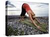 Downward Dog Yoga Pose on the Beach of Lincoln Park - West Seattle, Washington-Dan Holz-Stretched Canvas