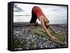 Downward Dog Yoga Pose on the Beach of Lincoln Park - West Seattle, Washington-Dan Holz-Framed Stretched Canvas