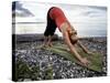 Downward Dog Yoga Pose on the Beach of Lincoln Park - West Seattle, Washington-Dan Holz-Stretched Canvas