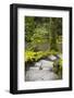 Downward Steps, Portland Japanese Garden, Portland, Oregon-Michel Hersen-Framed Photographic Print