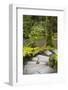 Downward Steps, Portland Japanese Garden, Portland, Oregon-Michel Hersen-Framed Photographic Print