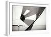 Downwind II-Alan Hausenflock-Framed Photographic Print