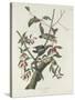 Downy Woodpecker, 1831-John James Audubon-Stretched Canvas