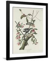 Downy Woodpecker, 1831-John James Audubon-Framed Giclee Print