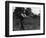 Dowsing, Leicestershire-null-Framed Art Print