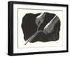 Dowsing Rod-null-Framed Art Print