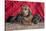 Doxen Puppies on log-Zandria Muench Beraldo-Stretched Canvas