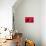 Doxen Puppy in Red-Zandria Muench Beraldo-Photographic Print displayed on a wall