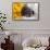 Doxen Puppy with sunflower-Zandria Muench Beraldo-Framed Stretched Canvas displayed on a wall