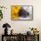 Doxen Puppy with sunflower-Zandria Muench Beraldo-Framed Stretched Canvas displayed on a wall