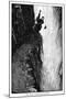 Wood Mount