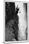 Wood Mount
