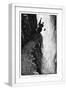 White Frame