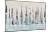 Dozen Muted Boats Panel-Dan Meneely-Mounted Art Print