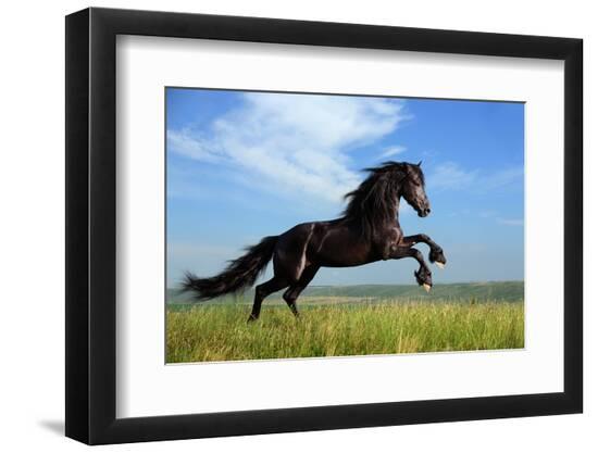 Premium Photographic Print, , large