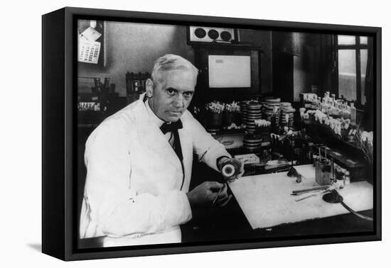 Dr. Alexander Flemings Discover of the Antibiotic Penicillin-null-Framed Stretched Canvas