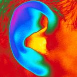 Thermogram of a Close-up of a Human Ear-Dr. Arthur Tucker-Photographic Print