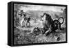 Dr. David Livingstone Attacked by a Lion, 1843-null-Framed Stretched Canvas