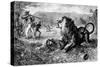 Dr. David Livingstone Attacked by a Lion, 1843-null-Stretched Canvas