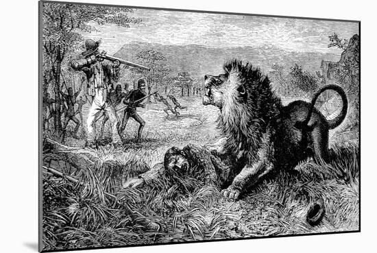 Dr. David Livingstone Attacked by a Lion, 1843-null-Mounted Art Print