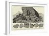 Dr Emil Holub's South African Exhibition in the Rotunda Buildings-null-Framed Giclee Print