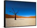 Canvas Black