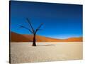 Stretched Canvas