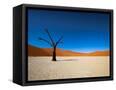 Canvas Black