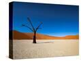 Stretched Canvas