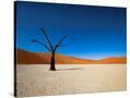 Stretched Canvas