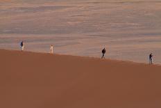 Dry Trees in Namib Desert-DR_Flash-Photographic Print