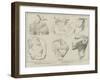 Dr Flinders Petrie's Egyptian Excavations-null-Framed Giclee Print