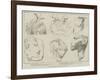 Dr Flinders Petrie's Egyptian Excavations-null-Framed Giclee Print