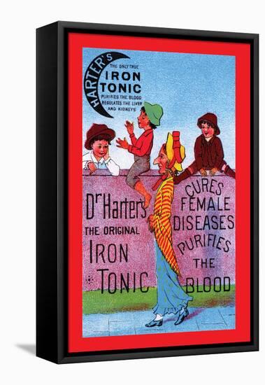 Dr. Harter's Iron Tonic-null-Framed Stretched Canvas