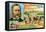 Dr Heinrich Barth, German Geographer and Explorer-null-Framed Stretched Canvas