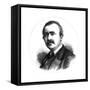 Dr Heinrich Schliemann, German Explorer and Archaeologist, 19th Century-null-Framed Stretched Canvas