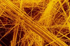 False Col. SEM of Crocidolite Fibres.-Dr. Jeremy Burgess-Photographic Print