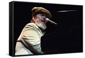 Dr. John, Hawth, Crawley, West Sussex, 2005-Brian O'Connor-Framed Stretched Canvas