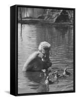 Dr. Konrad Lorenz, Viennese Animal Behaviorist, Surrounded by Family of Graylag Goslings-Thomas D^ Mcavoy-Framed Stretched Canvas