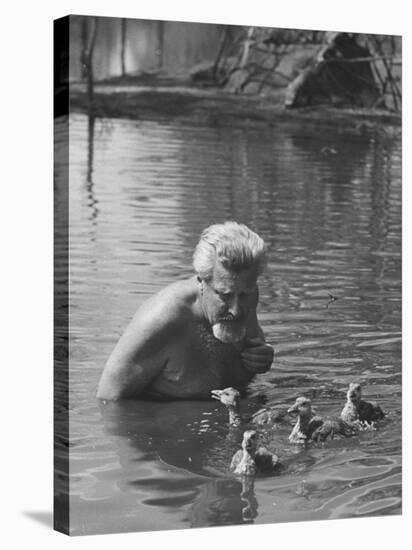 Dr. Konrad Lorenz, Viennese Animal Behaviorist, Surrounded by Family of Graylag Goslings-Thomas D^ Mcavoy-Stretched Canvas