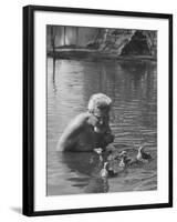 Dr. Konrad Lorenz, Viennese Animal Behaviorist, Surrounded by Family of Graylag Goslings-Thomas D^ Mcavoy-Framed Premium Photographic Print