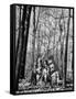 Dr. Liane Russell Camping with Husband Bill and Children in Woods Near their Home-Margaret Bourke-White-Framed Stretched Canvas