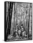 Dr. Liane Russell Camping with Husband Bill and Children in Woods Near their Home-Margaret Bourke-White-Framed Stretched Canvas