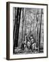 Dr. Liane Russell Camping with Husband Bill and Children in Woods Near their Home-Margaret Bourke-White-Framed Photographic Print