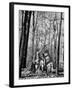 Dr. Liane Russell Camping with Husband Bill and Children in Woods Near their Home-Margaret Bourke-White-Framed Photographic Print